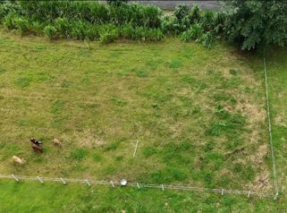 Lotes en La Fortuna de 250m2 - Preventa en La Fortuna, San Carlos, Alajuela — 38 000 000 ₡ - Foto 3 de 4