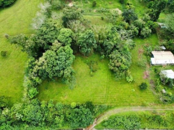 Terrenos Comerciales en Venta Las Mercedes Guácimo, Costa Rica Land for Sale  Investment Opportunity in Mercedes, Guácimo, Limón — ₡ 75 000 000