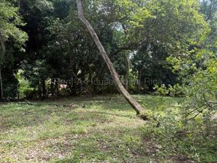 Venta de Lote en Orotina-La Ceiba. RAH 27-284 in La Ceiba, Orotina, Alajuela — 90 000 000 ₡ - Photo 5 of 7