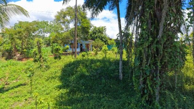 EN VENTA - TERRENO LISTO PARA CONSTRUIR CON POTENCIAL RESIDENCIAL Y COMERCIAL in Cajón, Pérez Zeledón, San José — ₡ 5 000 000