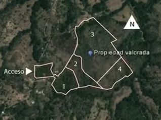 Venta de Terreno 40 hectáreas Santiago Puriscal