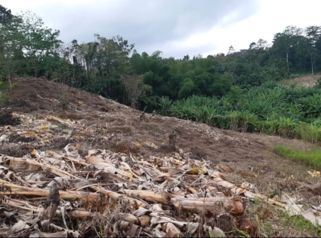 VENTA DE FINCA, LIMÓN, MOIN, LOMA LINDA en Guápiles, Pococí, Limón — $500,000 - Foto 5 de 5