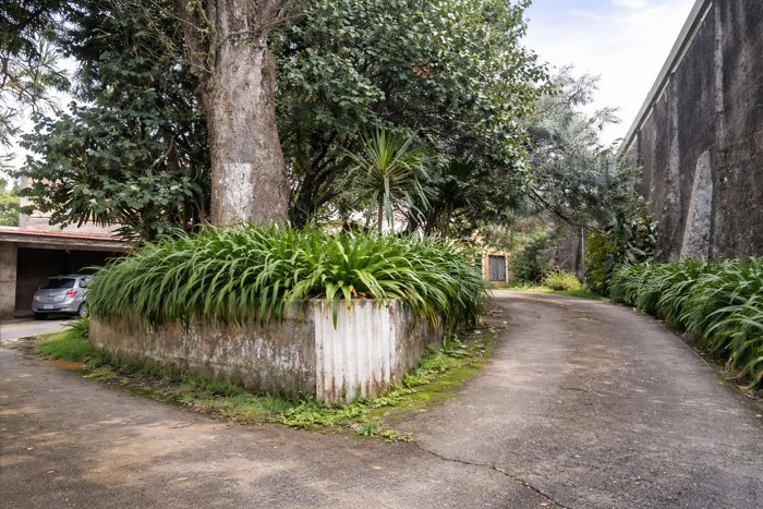 Terreno Privilegiado en Sabanilla Centro para desarrollar en San Pedro, Montes De Oca, San José — $1,250,000 - Foto 2 de 9