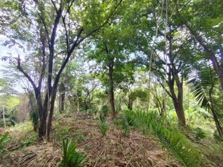 Lotes 49 y 50 en Ruta del Sol, precio de oportunidad en Cuajiniquil, Santa Cruz, Guanacaste — $85,000 - Foto 4 de 24