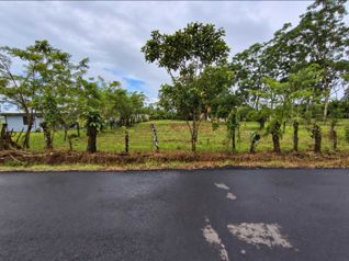 🌿 LOTE DE 2.209 m² EN VENTA | MUELLE DE LA PALMERA, SAN CARLOS en La Palmera, San Carlos, Alajuela — 40 000 000 ₡ - Foto 5 de 5