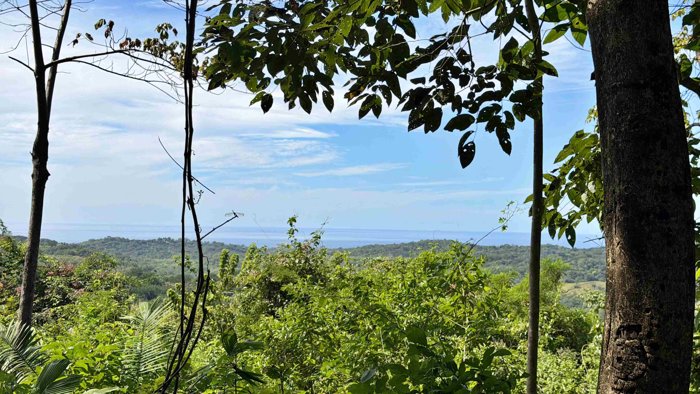 Venta terreno con vista al mar y montaña, Santa Cruz, Guanacaste. (FE) in Cuajiniquil, Santa Cruz, Guanacaste — $175,000