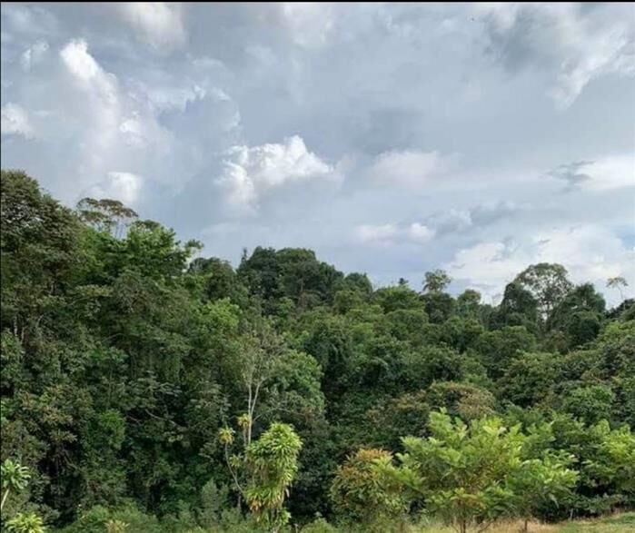 LOT FOR SALE, QUIZARRA, PEREZ ZELEDON en Cajón, Pérez Zeledón, San José — $60,000