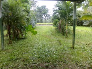 VENTA DE QUINTA, LIMON, SIQUIRRES, LA ALEGRIA in Siquirres, Limón — 40 000 000 ₡ - Photo 2 of 7