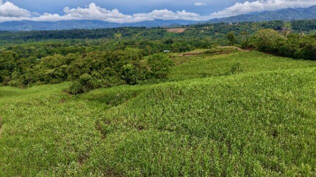 SE VENDE FINCA DE CAÑA CON VISTAS PANORAMICAS Y AGUA PROPIA en El General, Pérez Zeledón, San José — $236,979