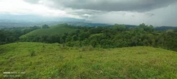 SE VENDE ESPECTACULAR FINCA EN COTO BRUS, PUNTARENAS.  in Limoncito, Coto Brus, Puntarenas — 4 000 000 ₡ - Photo 5 of 20