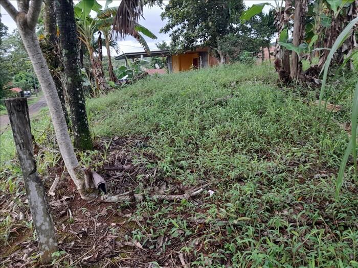 Venta de Lote San Luis de Upala  en Upala, Alajuela — ₡ 8 000 000