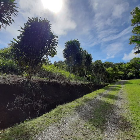Parcela en Lourdes de San Vito de Coto Brus en San Vito, Coto Brus, Puntarenas — ₡ 39 266 000