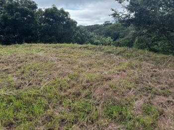 Venta de Lote en Santa Cruz, Guanacaste. RAH 25-811 in Cuajiniquil, Santa Cruz, Guanacaste — $80,000 - Photo 4 of 10