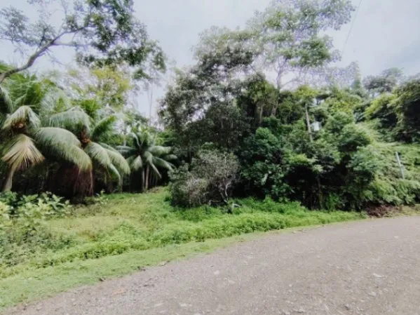 PROPIEDAD DE 7,482 M² EN VENTA – BOSQUE, QUEBRADA Y CERCA DE PLAYAS Y SERVICIOS en Quepos, Puntarenas — $246,906