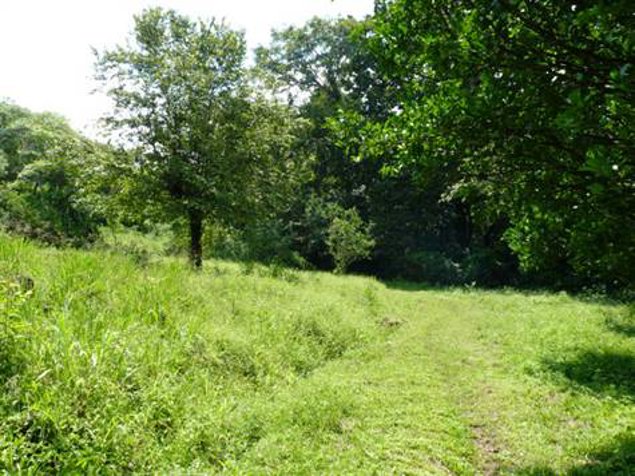 Finca de 6.3 Hec. 20 min. de aeropuerto in Atenas, Alajuela — $479,000 - Photo 3 of 5