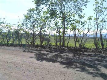 Finca en Venta Garita, Alajuela, Alajuela