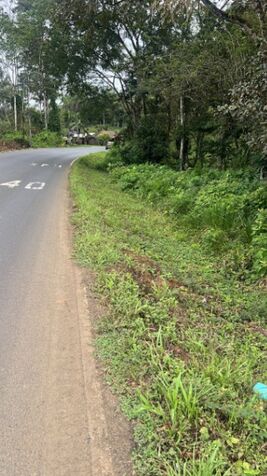 SE VENDE ESPECTACULAR FINCA EN GUATUSO DE ALAJUELA.  en Katira, Guatuso, Alajuela — $350,000