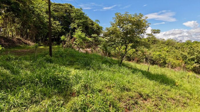 SE VENDE TERRENO LISTO PARA CONSTRUIR CON VISTAS INCREIBLES EN PEREZ ZELEDON en Volcán, Buenos Aires, Puntarenas — $10,000