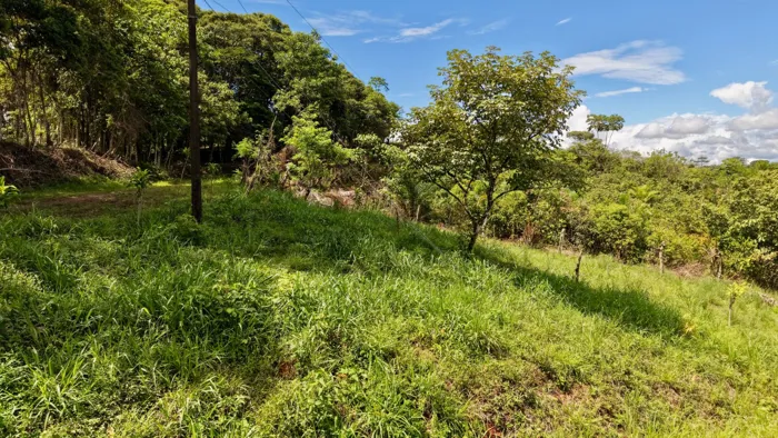 SE VENDE TERRENO LISTO PARA CONSTRUIR CON VISTAS INCREIBLES EN BUENOS AIRES in Volcán, Buenos Aires, Puntarenas — $10,000 - Photo 2 of 7