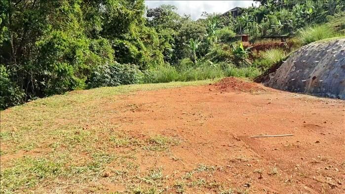 1-HECTARE RIVERFRONT LOT FOR SALE IN SANTA ELENA en Cajón, Pérez Zeledón, San José — $150,000