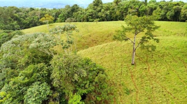 BEAUTIFUL LAND FOR SALE IN THE HEART OF SAN FRANCISCO DE CAJON, 96 ACRES en Cajón, Pérez Zeledón, San José — $900,000