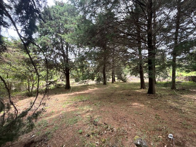 VENTA DE LOTE DE 11.310 m² EN LOS ÁNGELES, SAN RAFAEL DE HEREDIA in Ángeles, San Rafael, Heredia — $339,300 - Photo 3 of 6