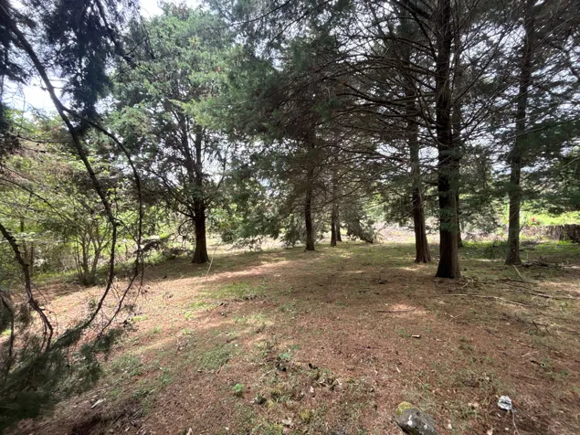 LAND FOR SALE OF 11,310 m² IN LOS ÁNGELES, SAN RAFAEL DE HEREDIA in Ángeles, San Rafael, Heredia — $339,300 - Photo 3 of 6