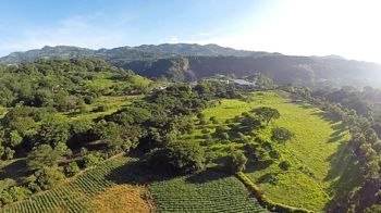 Finca de 463,196m2 91 lotes con casa, finca y area commercial en Atenas, Alajuela — $8,000,008 - Foto 5 de 13