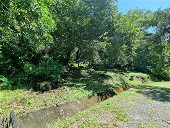 Land For Sale San Mateo, San Mateo, Alajuela