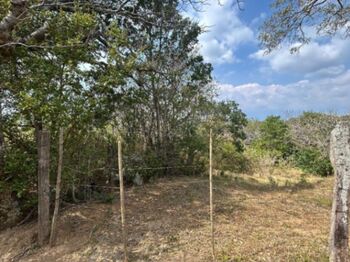 Lote con vista panorámica ideal para desarrollo residencial o inversión inteligente #26-1651 GS en Colón, Mora, San José — $425,000 - Foto 4 de 9