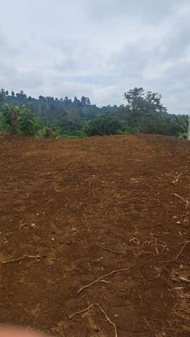 Se vende propiedad en Santa Rosa de Poás, Calle Helio Rodriguez (zona hacia Calle Lilis), Alajuela in San Rafael, Poás, Alajuela — ₡ 26 500 000