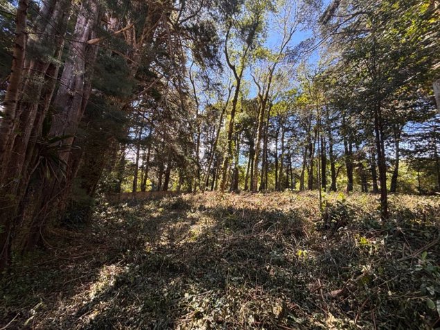 Venta de lote en El Tirol, Bosques del Monte, San Rafael de Heredia en San Rafael, Heredia — $200,000 - Foto 3 de 7