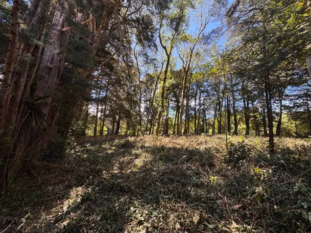 Venta de lote en El Tirol, Bosques del Monte, San Rafael de Heredia en San Rafael, Heredia — $200,000 - Foto 3 de 7
