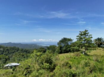 SE VENDE TERRENO LISTO PARA CONSTRUIR CON VISTA AL OCEANO EN OJOCHAL en Bahía Ballena, Osa, Puntarenas — $250,000 - Foto 4 de 11
