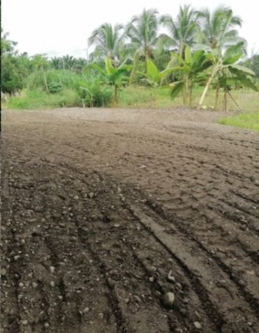 Lote en Guaycará, Golfito, Puntarenas — ₡ 500 000