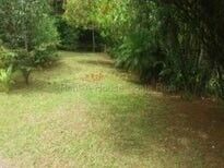 MLS-26-1955 KQ VENTA FINCA GRECIA ALAJUELA CONTACTENOS AL # 88987222 en Grecia, Alajuela — ₡ 163 000 000