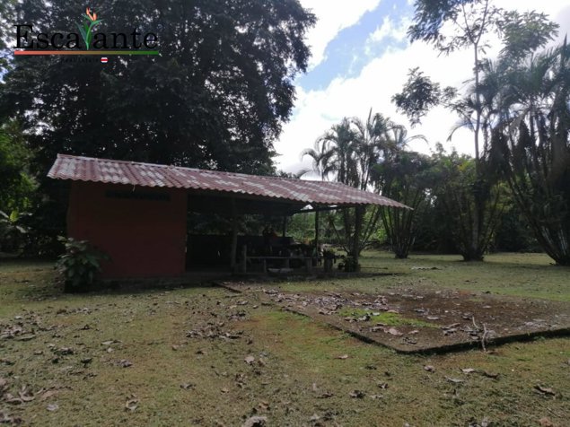 Venta de Lote en Chachagua San Ramon, San Carlos en San Ramón, Alajuela — ₡ 60 000 000 - Foto 2 de 15