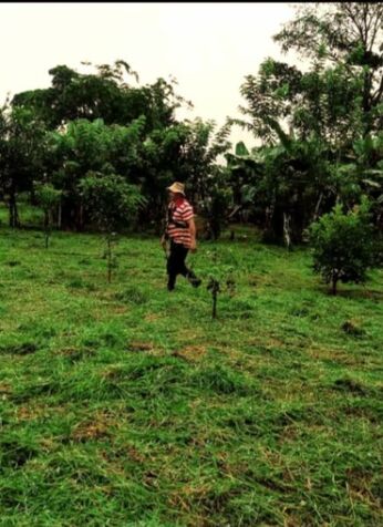 VENTA DE FINCA in San Jorge, Los Chiles, Alajuela — ₡ 80 000 000