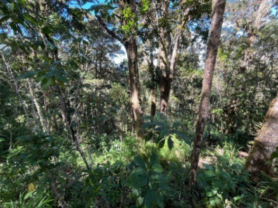 Venta de Lote en Dota Jardín, San José. RAH 26-1166 in Jardín, Dota, San José — $438,870