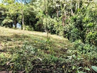 Lote de oportunidad 1654m2 en San Isidro De El General, Pérez Zeledón, San José — 35 000 000 ₡ - Foto 5 de 12