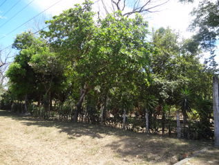 Quinta de Recreo 5200m2 cerca Aeropuerto Liberia en Liberia, Guanacaste — $420,000 - Foto 4 de 4