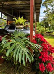 Venta de Casa en Bijagua Centro-Alajuela. en Bijagua, Upala, Alajuela — 100 000 000 ₡ - Foto 4 de 13