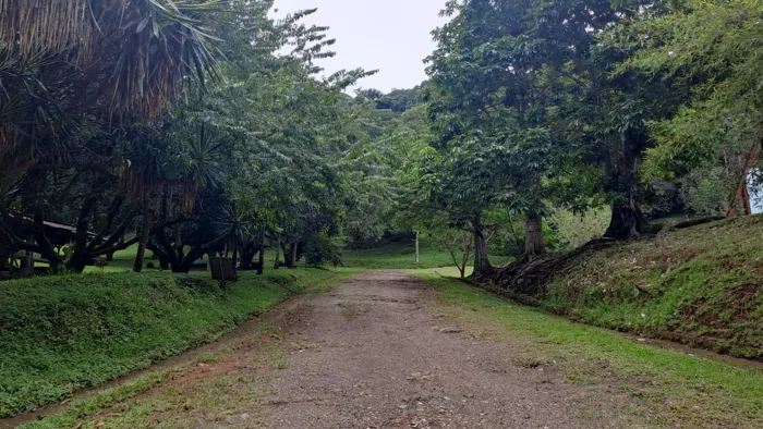 Quinta for sale in Atenas in Atenas, Alajuela — $1,500,000 - Photo 3 of 28