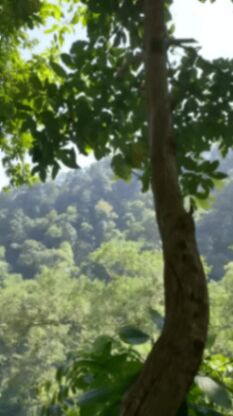 Propiedad OFERTA  en Santa Cruz, Guanacaste — ₡ 10 000 000