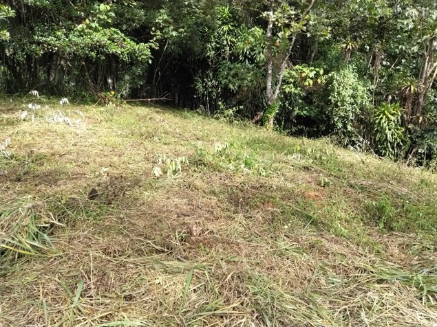 Lote de oportunidad 1654m2 en San Isidro De El General, Pérez Zeledón, San José — ₡ 35 000 000 - Foto 2 de 12