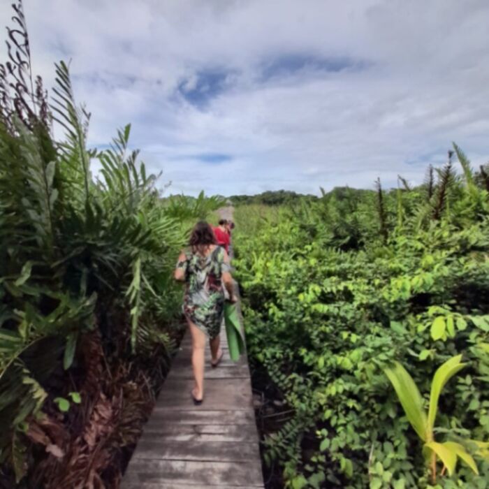 Oportunidad única en el Caribe Sur de Costa Rica,  Santuario natural entre río y mar in Limón — $388,000
