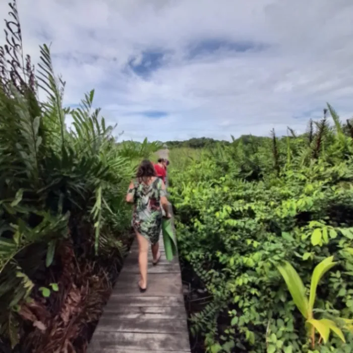 Oportunidad única en el Caribe Sur de Costa Rica,  Santuario natural entre río y mar en Limón — $388,000 - Foto 2 de 12