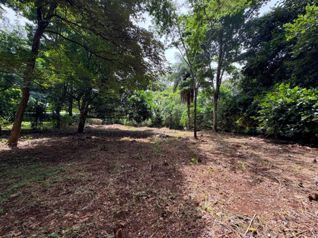 Venta de lotes contiguos en San Mateo de Alajuela