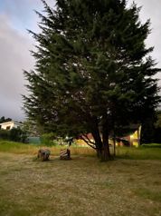 Se Vende Lote en Los ángeles de San Rafael Heredia en Ángeles, San Rafael, Heredia — $300,000 - Foto 4 de 5