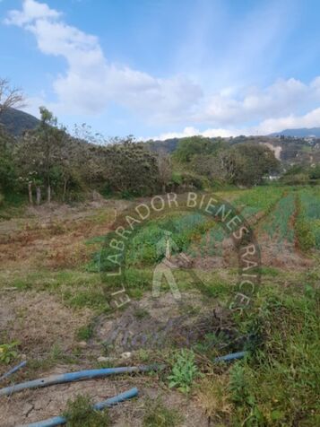 Se vende terreno industrial en la Lima de Cartago, 29637 m2, USD $4.300.000 in Occidental, Cartago — $4,300,000